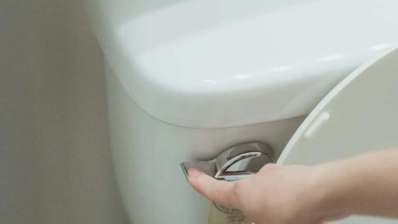 As leis mais curiosas do mundo.